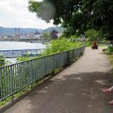 1907G 088 Rhein Schatten in Boppard